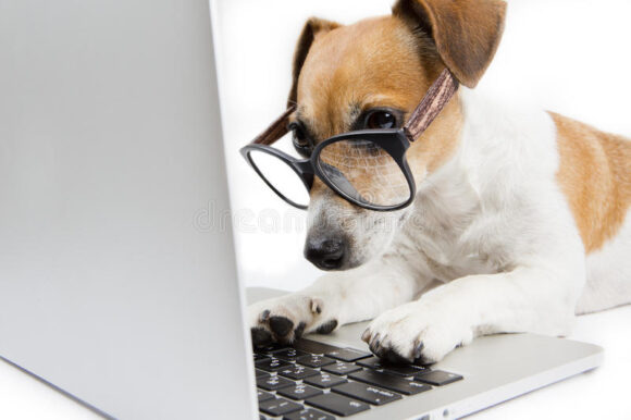 computer-dog-clever-glasses-uses-43558625