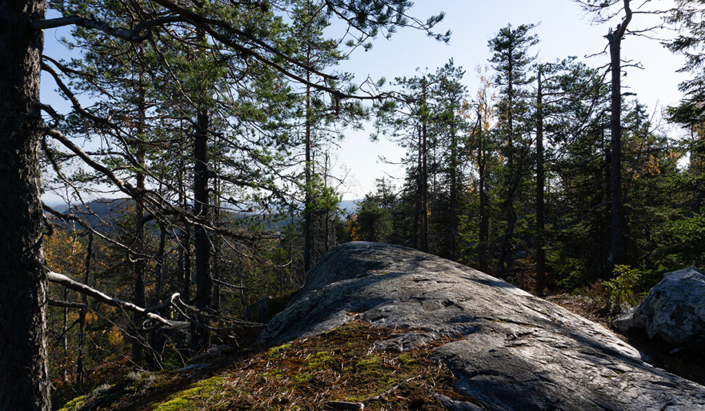 Koli ja Mediakumpu, käsittelemätön kuva