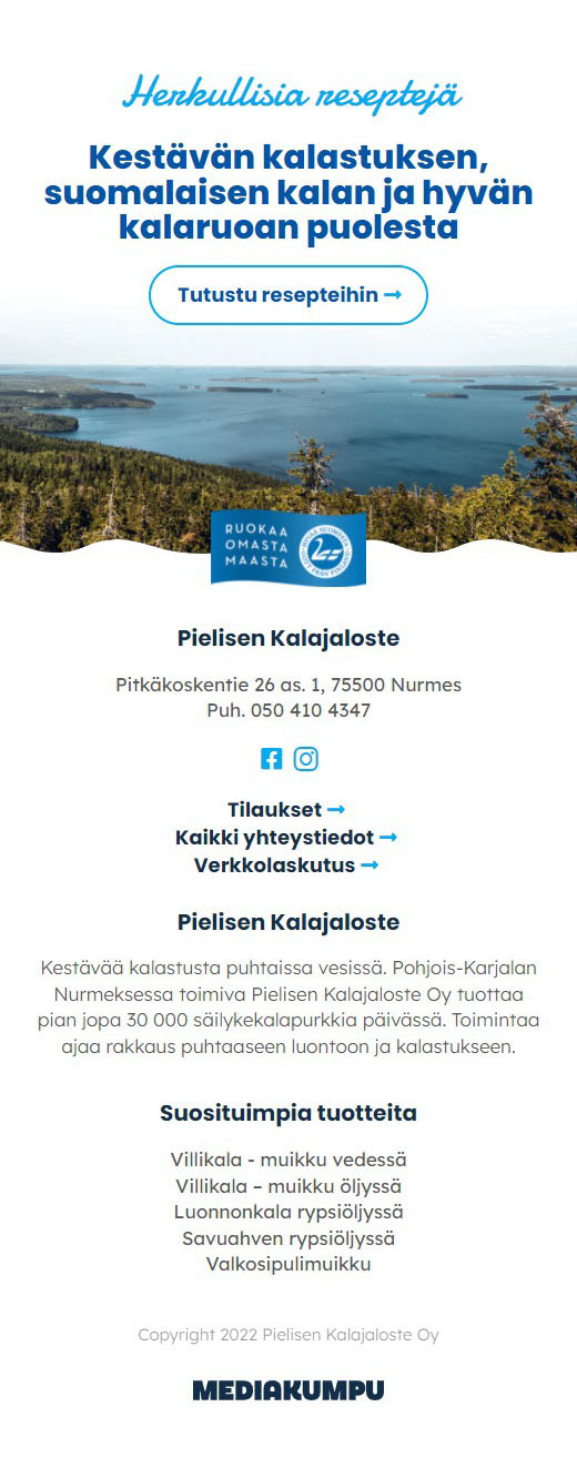 WordPress-kotisivut yritykselle - Pielisen kala ja Mediakumpu