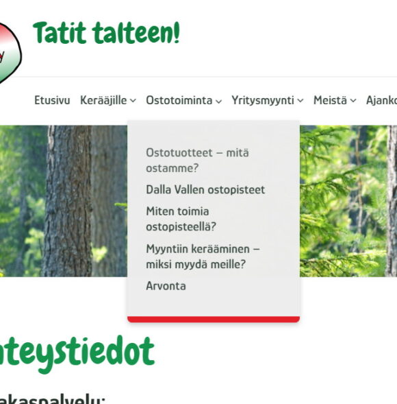 WordPress pudotusvalikko, Mediakumpu kotisivut yrityksille