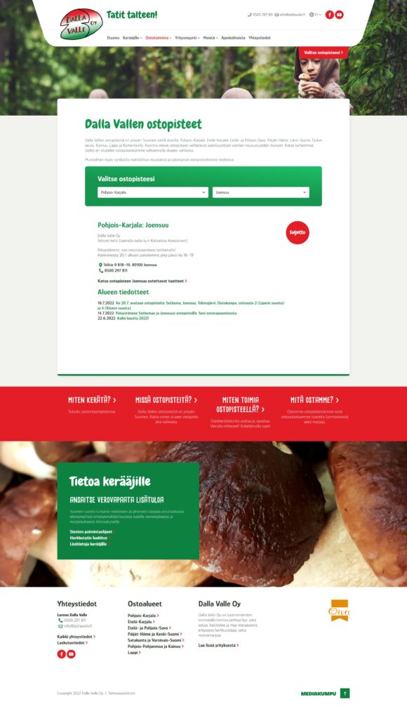 WordPress-kotisivut, Dalla Valle ja Mediakumpu Oy
