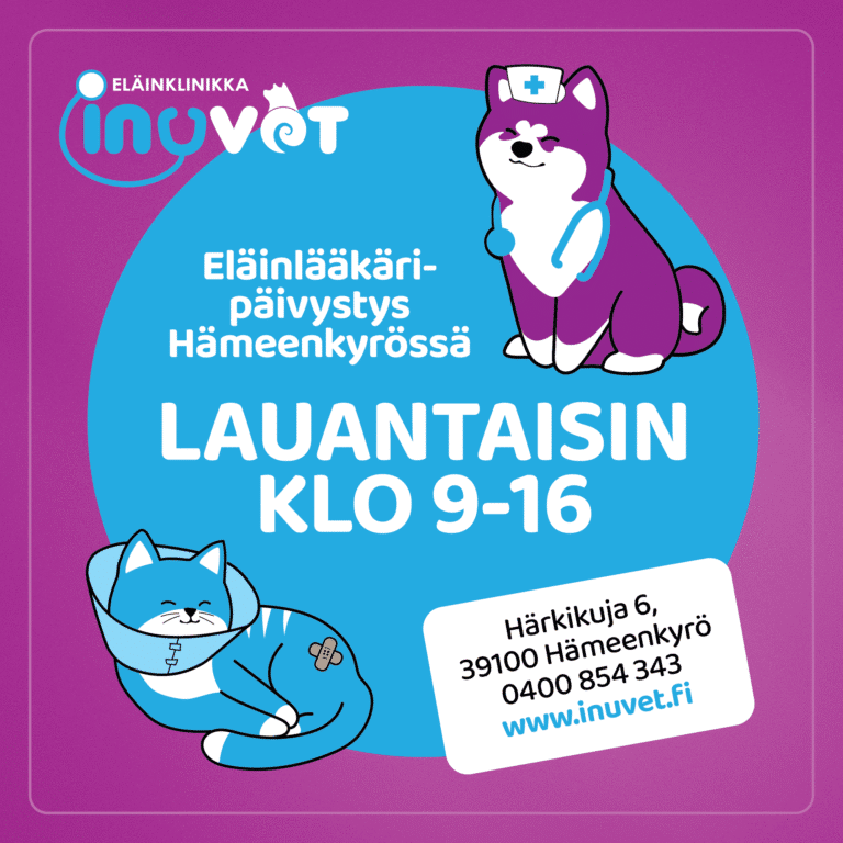 Inuvet Hämeenkyrö la aukiolot